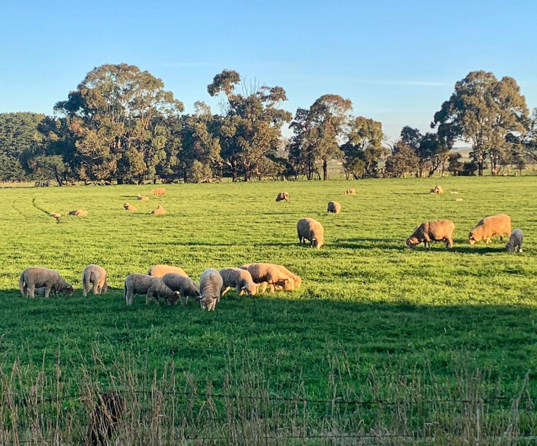 The Lancefield Lodge Lance Field エクステリア 写真